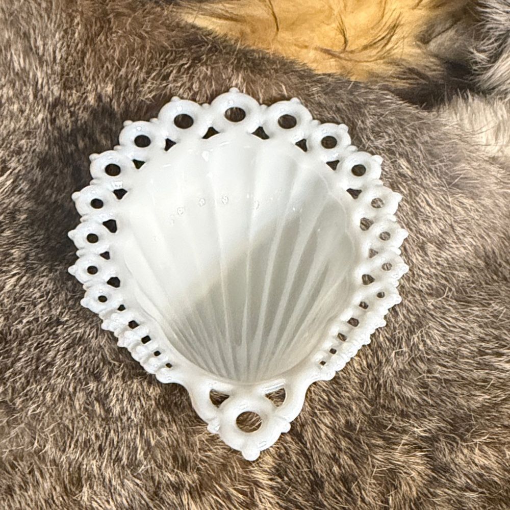 White Decorative Shell Dish (5425)